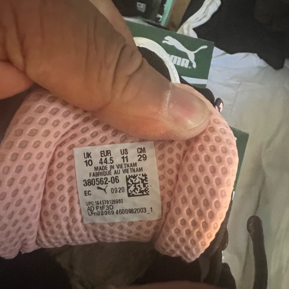 Pumas - Picture 4 of 5